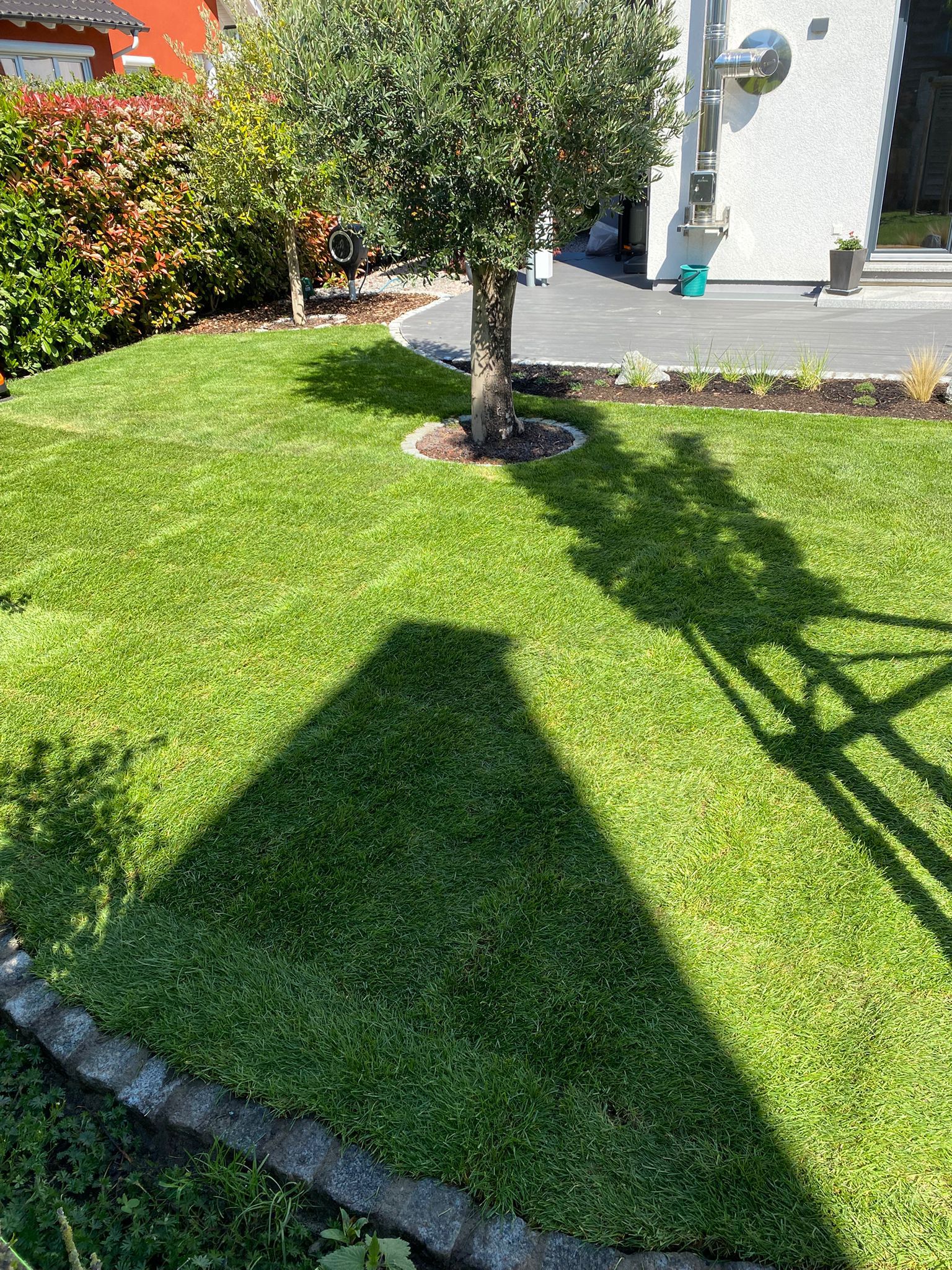 Rollrasen Verlegung Projekt